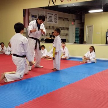 childrens taekwondo, childrens karate, childrens martial arts, martial arts for children, taekwondo for children, karate for children
