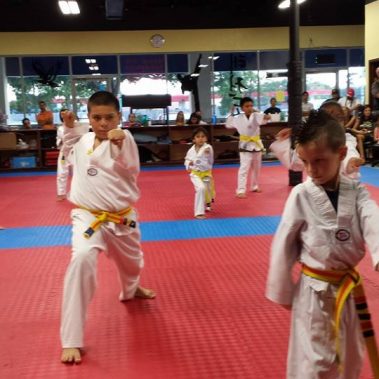 adult taekwondo, adult martial arts, adult karate, discipline for kids, dojos near me, elite eagle taekwondo