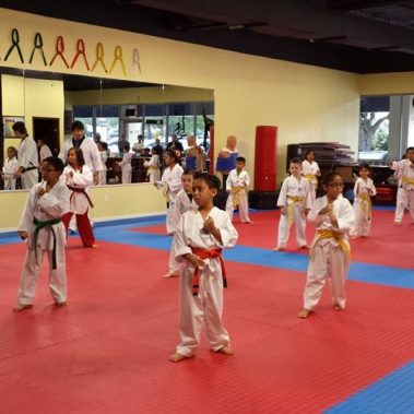karate tomball tx, martial arts tomball tx, taekwondo tomball tx, karate the woodlands tx, martial arts the woodlands tx, taekwondo the woodlands tx