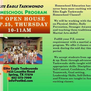 adult taekwondo, adult martial arts, adult karate, discipline for kids, dojos near me, elite eagle taekwondo