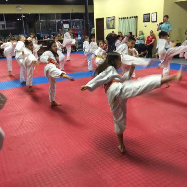 adult taekwondo, adult martial arts, adult karate, discipline for kids, dojos near me, elite eagle taekwondo