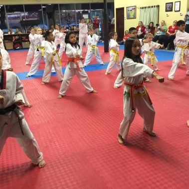 adult taekwondo, adult martial arts, adult karate, discipline for kids, dojos near me, elite eagle taekwondo