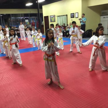 adult taekwondo, adult martial arts, adult karate, discipline for kids, dojos near me, elite eagle taekwondo