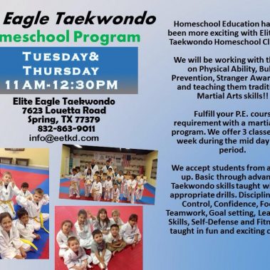 cypress martial arts, spring martial arts, spring taekwondo, cypress taekwondo, spring karate, cypress karate