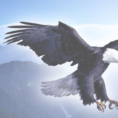 beginner aekwondo spring tx, beginner martial arts spring tx, beginner karate spring tx